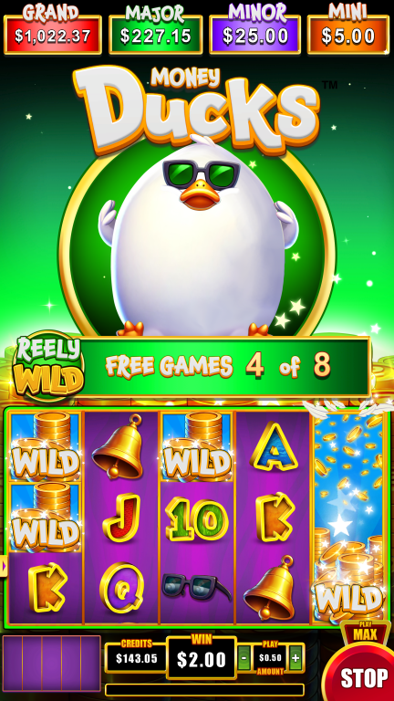 Money Ducks 5x3 screenshot